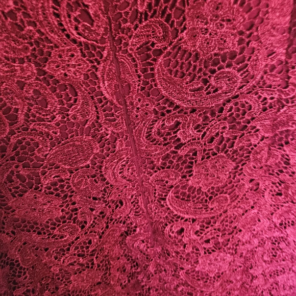 Grace Hill Rare Lace Overlay Fuschia Dress - Picture 5 of 8